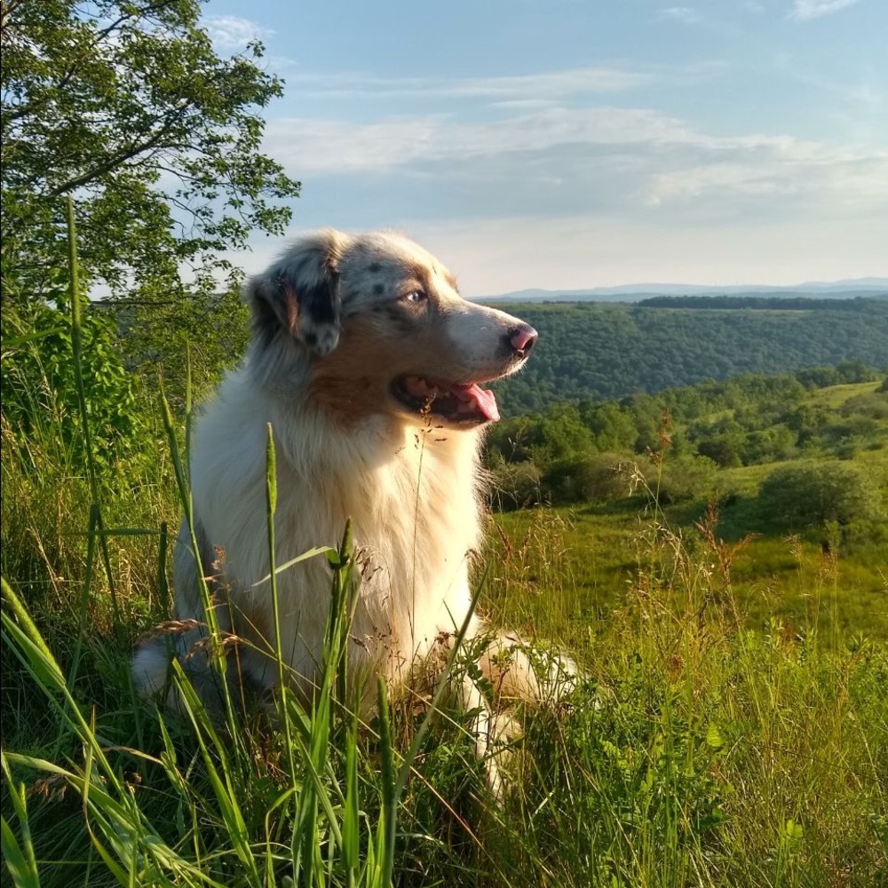 Meet your Posher, Charity